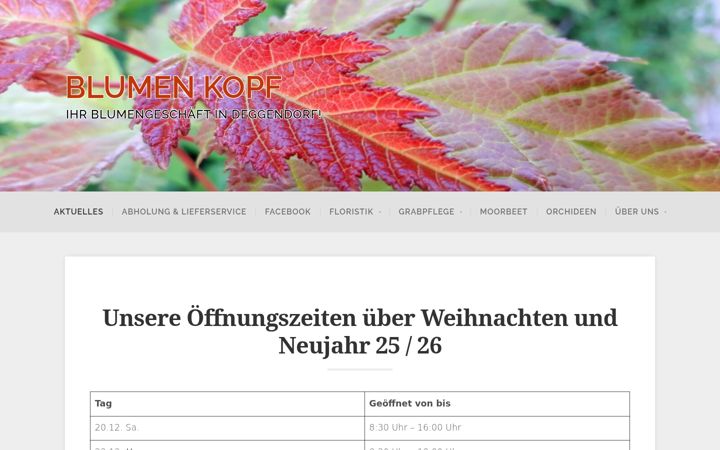Screenshot του blumen-kopf.de