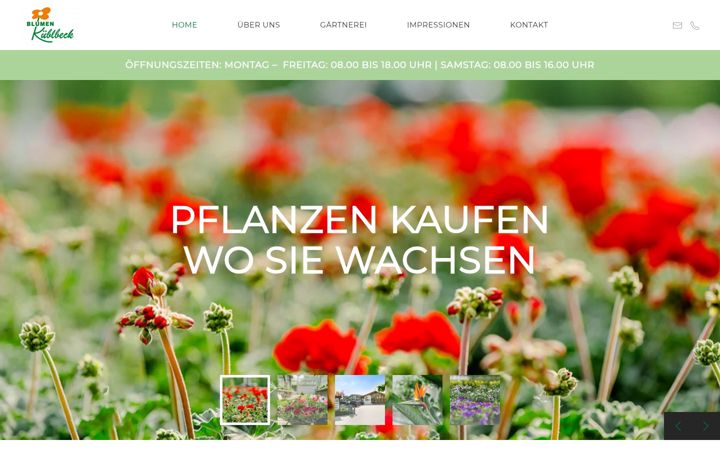Screenshot of blumen-kueblbeck.de