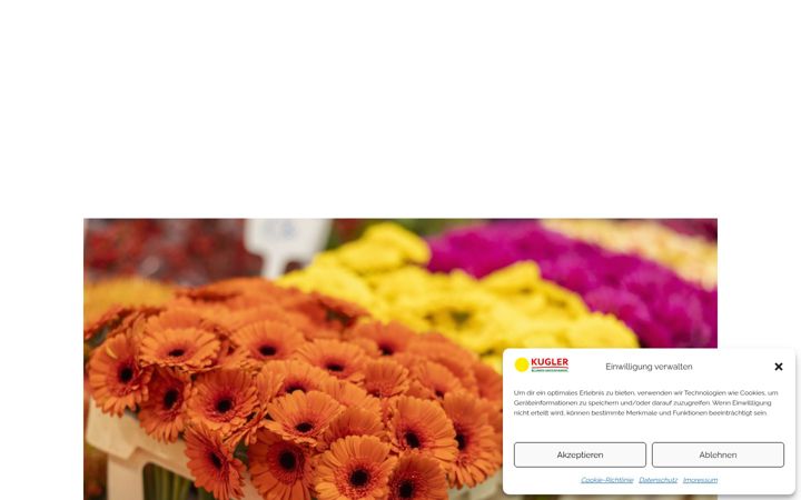 Screenshot του blumen-kugler.at