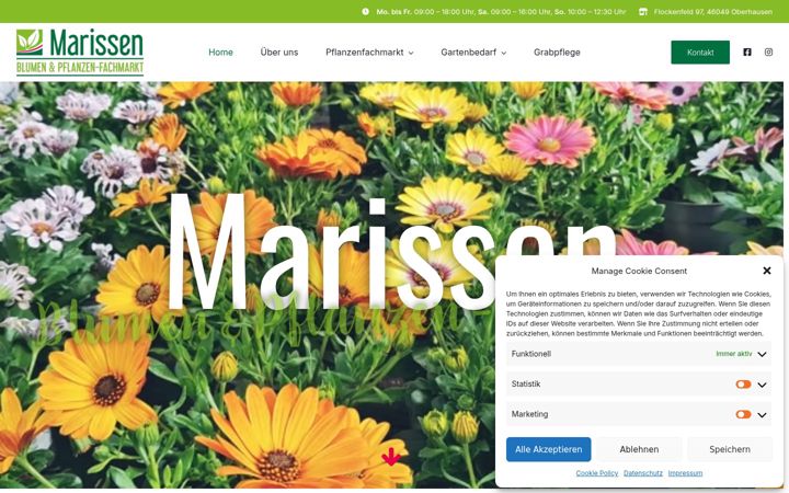Screenshot του blumen-marissen.de