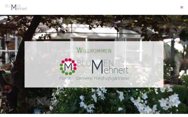 Screenshot του blumen-mehnert.de