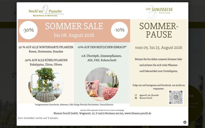 Screenshot of blumen-peschl.de