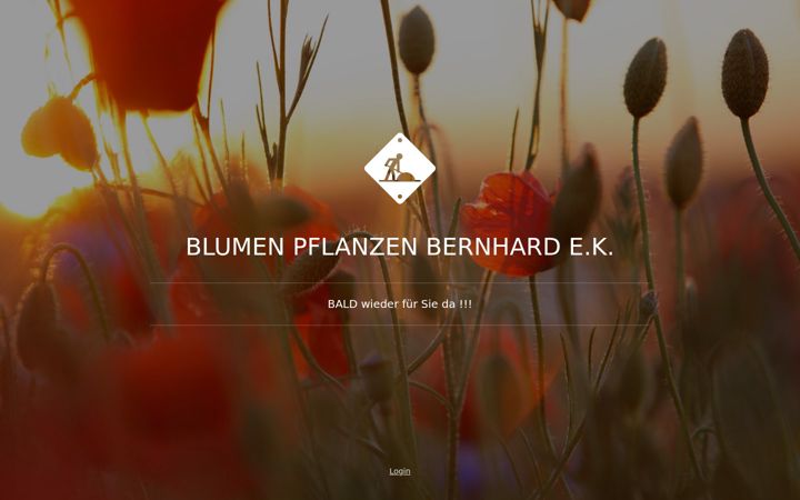 Screenshot of blumen-pflanzen-bernhard.de