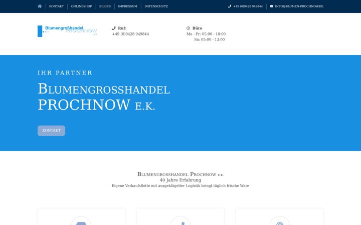 Screenshot of blumen-prochnow.de