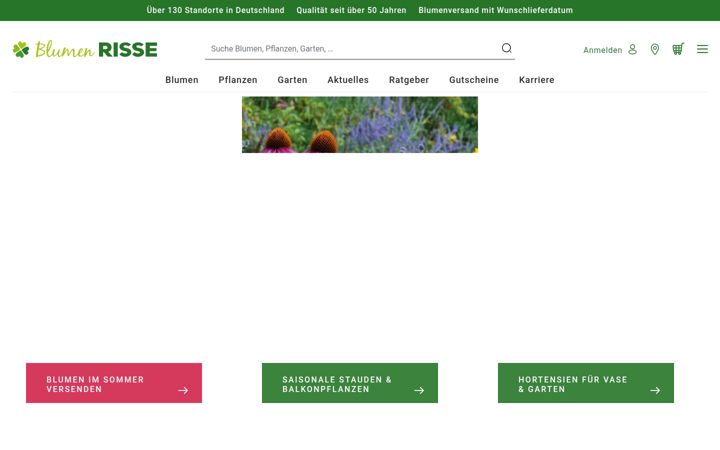 Captura de pantalla de blumen-risse.de