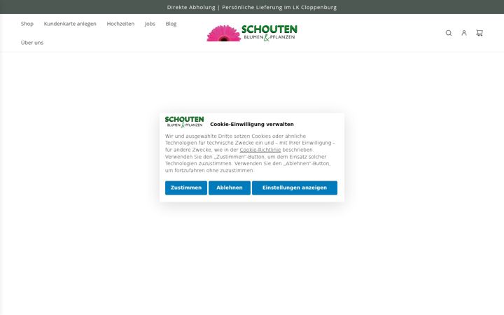 Captura de pantalla de blumen-schouten.de
