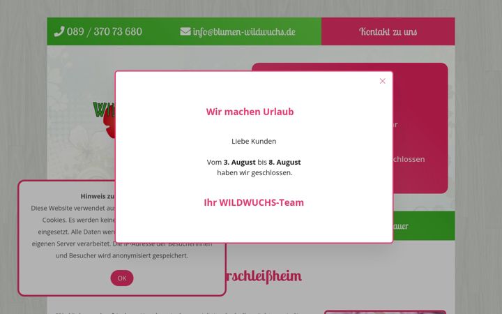 Screenshot of blumen-wildwuchs.de