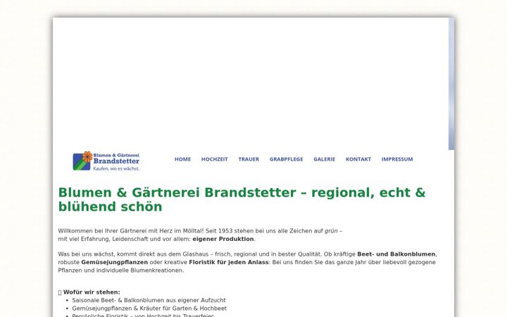 Screenshot of blumenbrandstetter.at