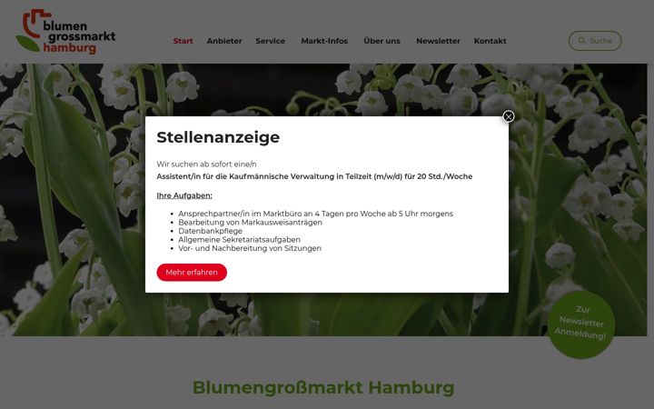 Screenshot of blumengrossmarkt-hh.de
