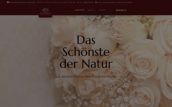 Screenshot of blumenmarr.de