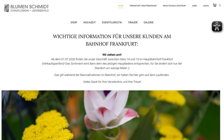 Screenshot of blumenschmidt.com