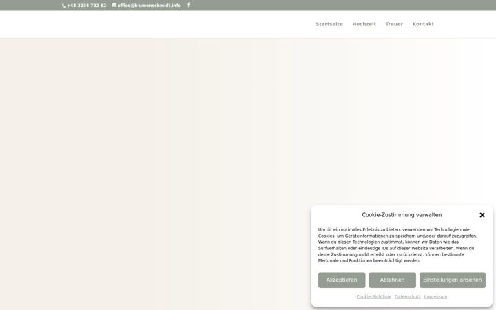 Screenshot of blumenschmidt.info