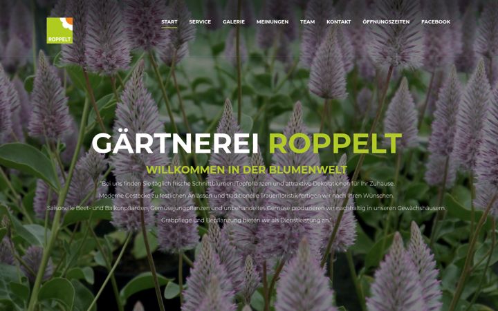 Screenshot of blumenwelt-roppelt.de