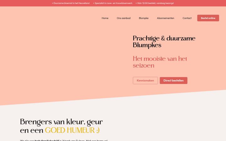 Screenshot of blumpke.nl