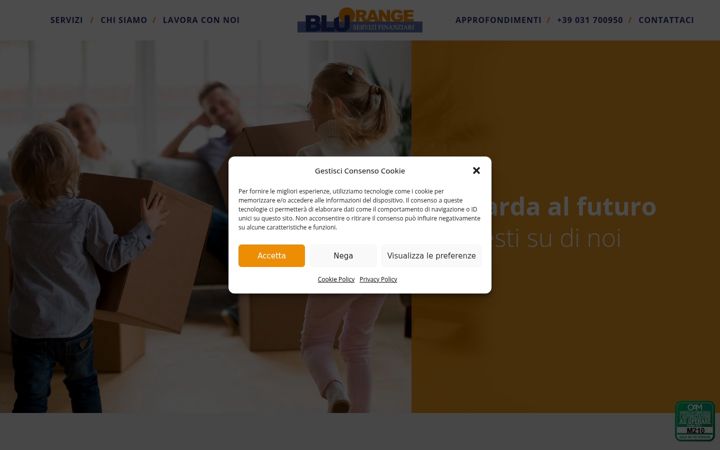 Screenshot von bluorange.net