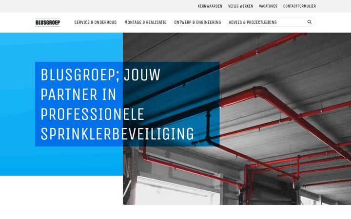 Screenshot of blusgroep.nl