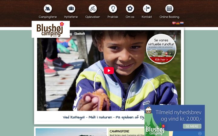 Screenshot of blushoj-camping.dk