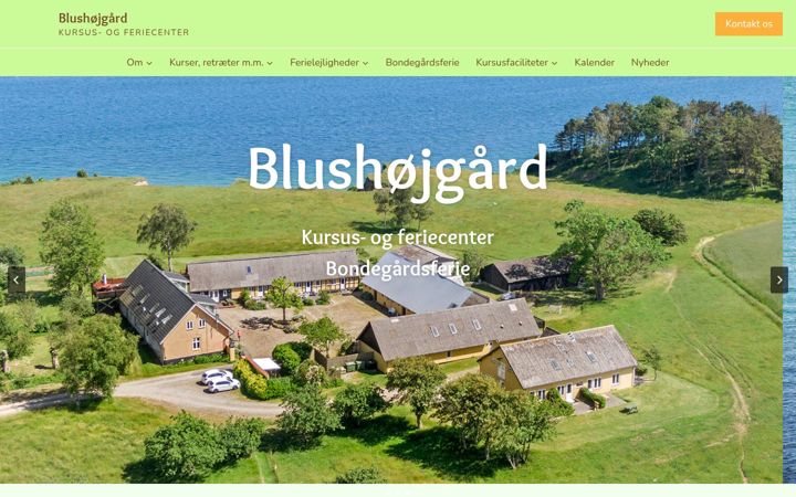 Screenshot of blushojgaard.dk