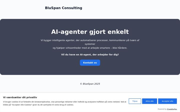 Screenshot of bluspan.dk
