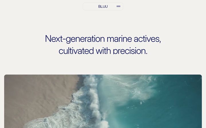Screenshot of bluu.bio