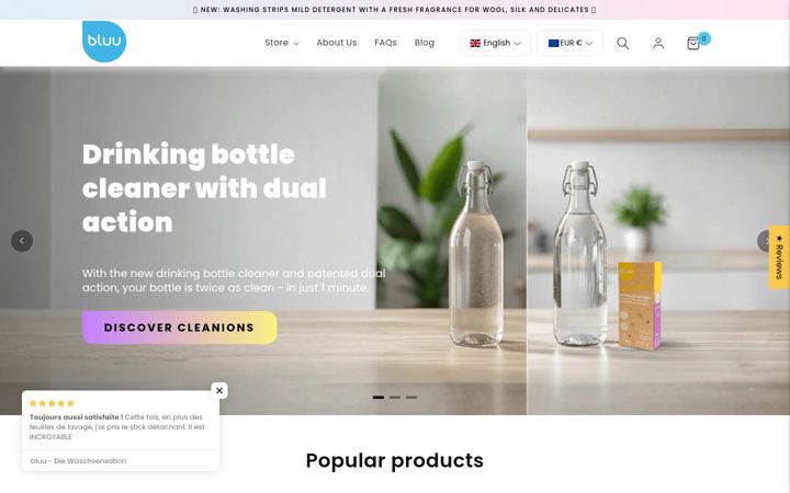 Snímek obrazovky bluuwash.com