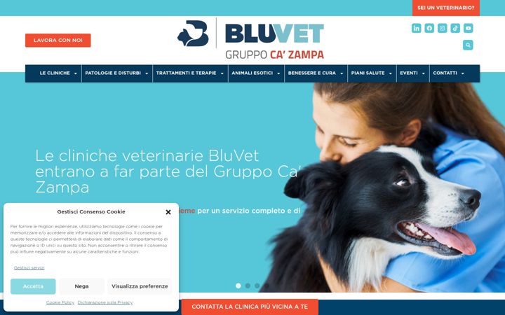 Snímek obrazovky bluvet.it