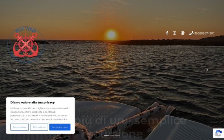 Screenshot of bluview.it