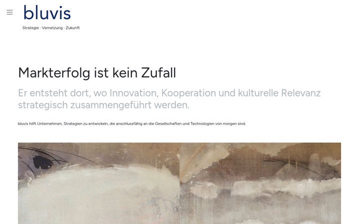 Screenshot of bluvis.de