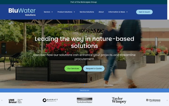 Screenshot of bluwatersolutions.co.uk