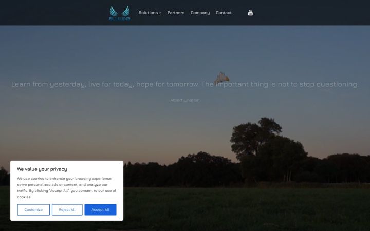 Screenshot of bluwing.de