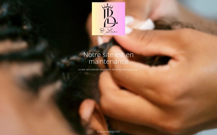Screenshot of bluxinstitut.com
