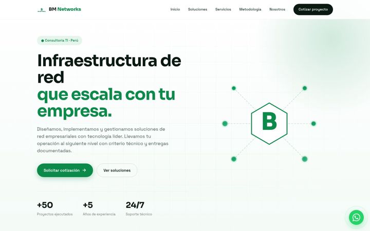 Screenshot of bm-networks.com