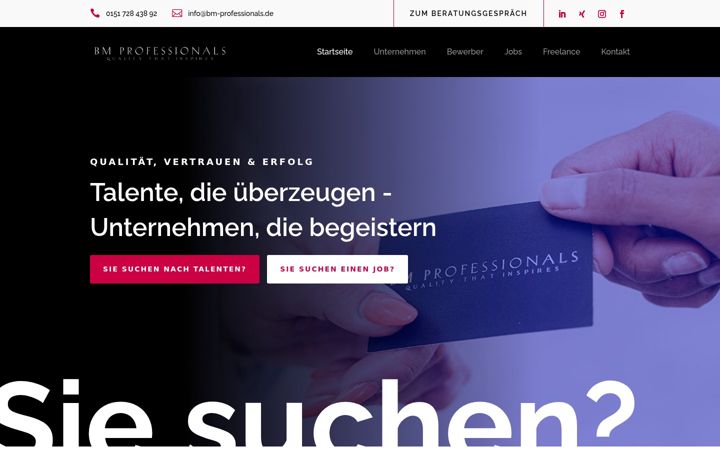 Zrzut ekranu bm-professionals.de