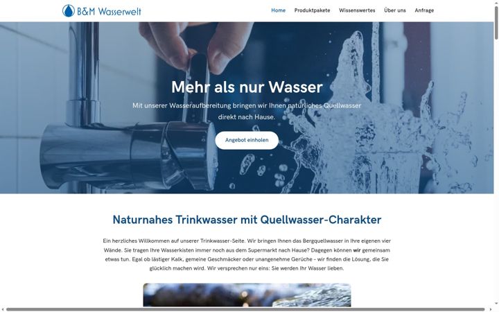 Zrzut ekranu bm-wasserwelt.de