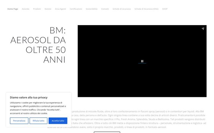 Screenshot of bmaerosol.com