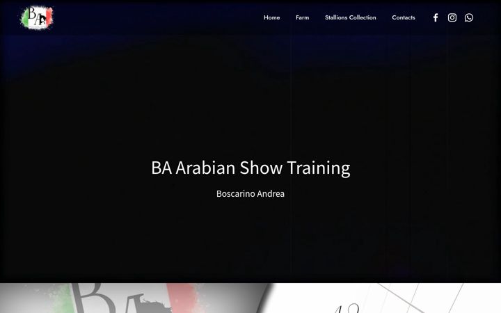 Screenshot of bmarabiantrainingcenter.com