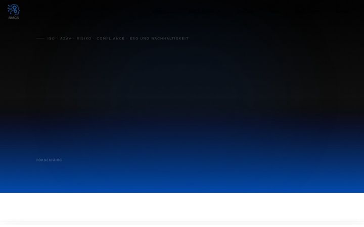 Screenshot of bmcssolutions.com