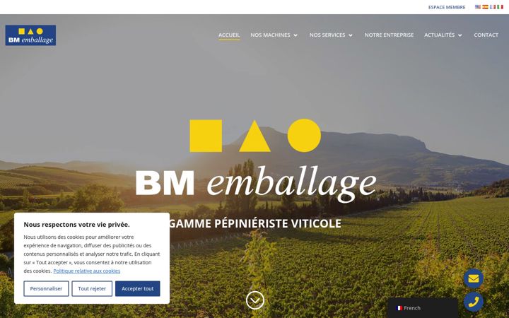 Zrzut ekranu bmemballage.com