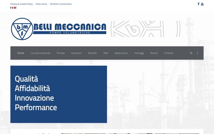 Zrzut ekranu bmf-performancepumps.com