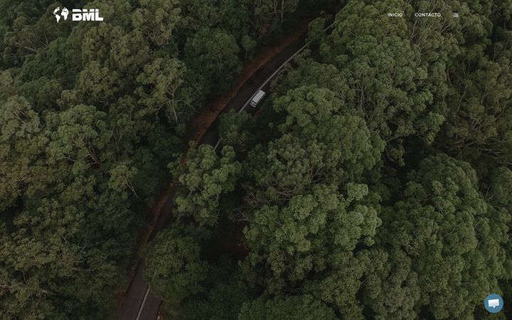 Capture d'écran de bmlservicios.es