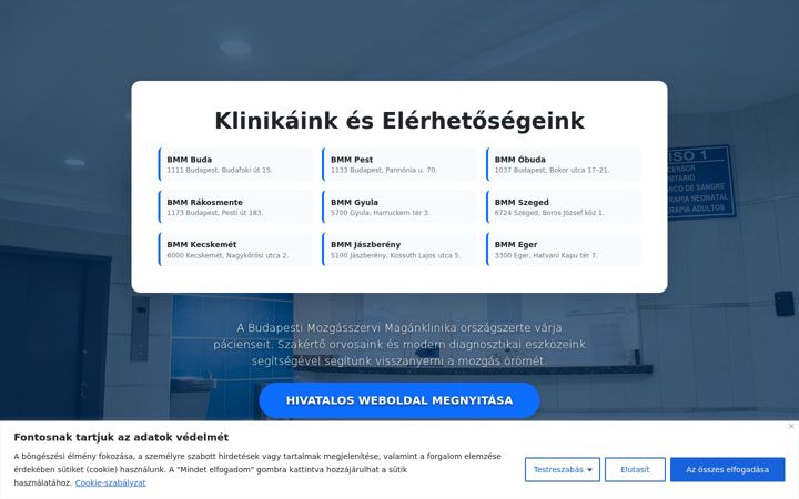 Screenshot of bmm-dunaharaszti.hu