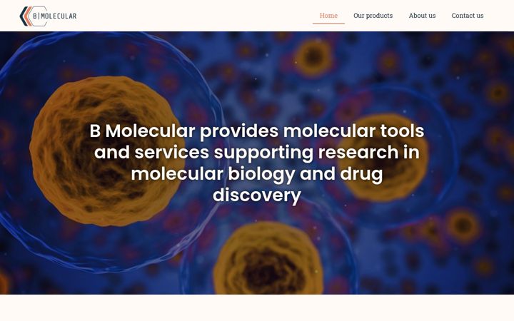 Screenshot of bmolecular.eu