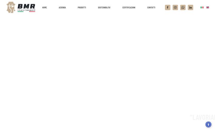 Screenshot of bmr-srl.com