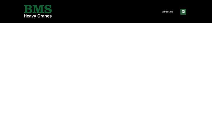 Screenshot of bms-hc.com