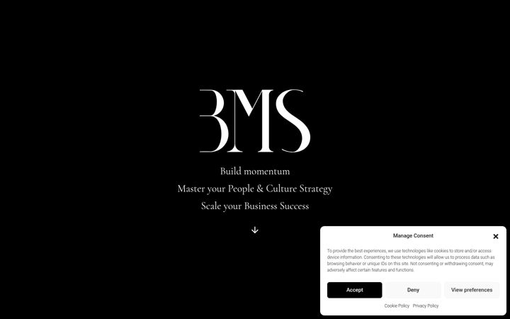 Screenshot of bms-hrm.com
