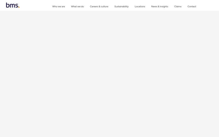 Screenshot of bmsgroup.com