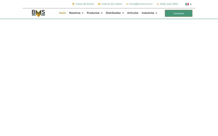 Kuvakaappaus sivustosta bmsmx.com