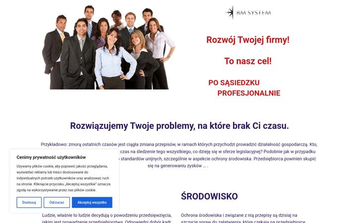 Screenshot of bmsystem.pl