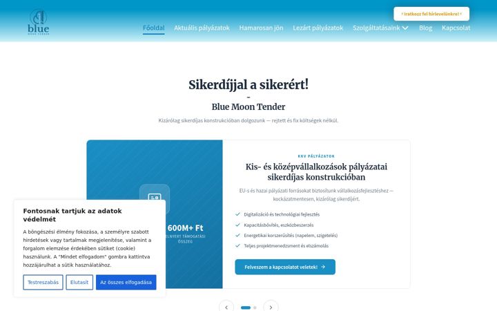 Snímek obrazovky bmtender.hu