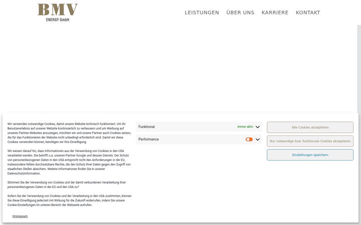 Posnetek zaslona bmvenergy.de